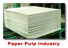 Paper Pulp Industry
